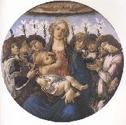 Sandro Botticelli Madonna and child with eight Angels or Raczinskj Tondo oil painting on canvas
